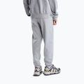 Pantaloni pentru bărbați The North Face Evolution Simple Dome Regular Jogger tnf pale grey h 3