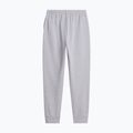 Pantaloni pentru bărbați The North Face Evolution Simple Dome Regular Jogger tnf pale grey h 5