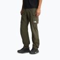 Pantaloni de trekking pentru bărbați The North Face Exploration Cargo taupe green