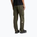 Pantaloni de trekking pentru bărbați The North Face Exploration Cargo taupe green 3