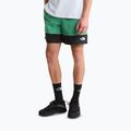 Pantaloni scurți de trekking pentru bărbați The North Face Leynar dimmed algae/tnf black