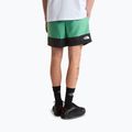 Pantaloni scurți de trekking pentru bărbați The North Face Leynar dimmed algae/tnf black 3