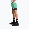 Pantaloni scurți de trekking pentru bărbați The North Face Leynar dimmed algae/tnf black 4