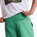 Pantaloni scurți de trekking pentru bărbați The North Face Leynar dimmed algae/tnf black 6