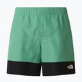 Pantaloni scurți de trekking pentru bărbați The North Face Leynar dimmed algae/tnf black 9