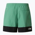 Pantaloni scurți de trekking pentru bărbați The North Face Leynar dimmed algae/tnf black 10