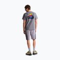 Tricou pentru bărbați The North Face Celebration Relaxed smoked pearl 2