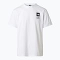 Tricou de trekking pentru bărbați The North Face Mountain Celebration Regular tnf white