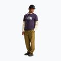 Tricou pentru bărbați The North Face Evolution Half Dome endless dusk 2