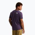 Tricou pentru bărbați The North Face Evolution Half Dome endless dusk 4