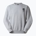 Bluză The North Face Celebration Relaxed Crew Graphic tnf light grey heather