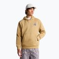 Bluză The North Face Mountain Celebration Relaxed Hoodie khaki stone 3