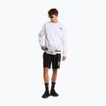 Pantaloni scurți de trekking pentru bărbați The North Face Box Nse Light Regular Shorts black 2