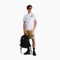 Pantaloni scurți de trekking pentru bărbați The North Face Box Nse Light Regular Shorts khaki stone 2