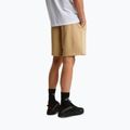 Pantaloni scurți de trekking pentru bărbați The North Face Box Nse Light Regular Shorts khaki stone 3