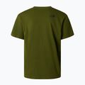 Tricou pentru bărbați The North Face Mountain Logo Relaxed woodland green 6