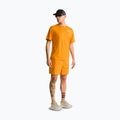 Tricou pentru bărbați The North Face 24/7 Box Nse dust orange 2