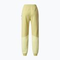 Pantaloni pentru femei The North Face Mountain Athletics Fleece pear 6