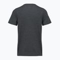 Tricou pentru bărbați Smartwool Lunar Bear Active SS Graphic Tee charcoal heather 2