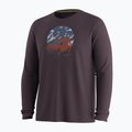 Longsleeve pentru bărbați Smartwool First Chair Pursuit Active LS mink heather 3