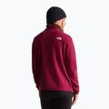Bluză fleece pentru femei The North Face Glacier Fleece 1/4 Zip burgundy crush 3
