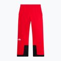 Pantaloni de schi pentru bărbați The North Face Chakal elevation red 5