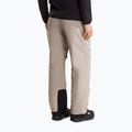 Pantaloni de schi pentru bărbați The North Face Chakal stone slab 3