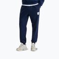 Pantaloni pentru bărbați The North Face Evo Box Half Dome Regular Tappered summit navy