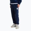 Pantaloni pentru bărbați The North Face Evo Box Half Dome Regular Tappered summit navy 3