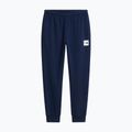 Pantaloni pentru bărbați The North Face Evo Box Half Dome Regular Tappered summit navy 5