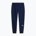 Pantaloni pentru bărbați The North Face Evo Box Half Dome Regular Tappered summit navy 6