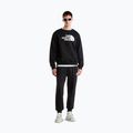 Pantaloni pentru bărbați The North Face Evo Box Half Dome Regular Tappered tnf black 2