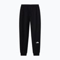 Pantaloni pentru bărbați The North Face Evo Box Half Dome Regular Tappered tnf black 5