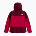 Geacă de ploaie pentru femei The North Face Gtx Jazzi lali guran/burgundy cru 6