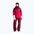Geacă de schi pentru femei The North Face Freedom Insulated lali guran/burg 2