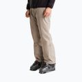 Pantaloni de schi pentru bărbați The North Face Descendit stone slab