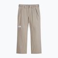 Pantaloni de schi pentru bărbați The North Face Descendit stone slab 4