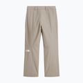 Pantaloni de schi pentru bărbați The North Face Descendit stone slab 5
