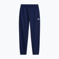 Pantaloni pentru bărbați The North Face Evolution Simple Dome Regular Joggers summit navy 4