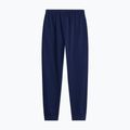 Pantaloni pentru bărbați The North Face Evolution Simple Dome Regular Joggers summit navy 5