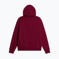 Bluză pentru femei The North Face Evolution Simple Dome Regular Hoodie burgundy crush 2