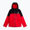 Geacă de schi pentru bărbați The North Face Freedom Insulated elevation red/tnf black 5