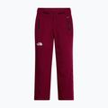 Pantaloni de schi pentru femei The North Face Lenado burgundy crush