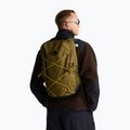 Rucsac de oraș The North Face Jester 28 l caraway seed/tnf black 6