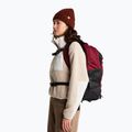 Rucsac de oraș The North Face Borealis burgundy crush 7