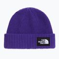 Căciulă de iarnă The North Face Salty Lined peak purple