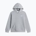 Bluză pentru copii The North Face Evolution Simple Dome Pullover Hood tnf pale grey heather