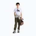 Tricou pentru copii The North Face Evolution Half Dome SS Tee tnf white 2