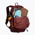 Rucsac de turism The North Face Borealis Trail 27 l deep burgundy 6