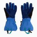 Mănuși de schi pentru copii The North Face Montana bold blue/active blue 2